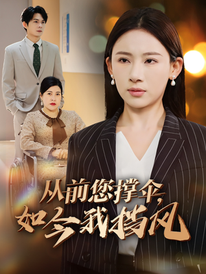 从前您撑伞，如今我挡风（30集）演的怎么样