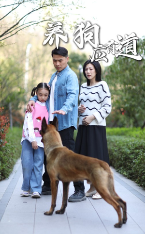 养狗应有道（60集）剧好看短剧推荐