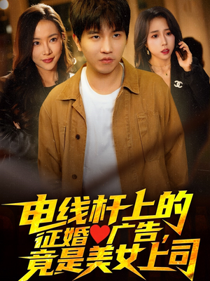 电线杆上的征婚广告，竟是美女上司（90集）评价怎么样