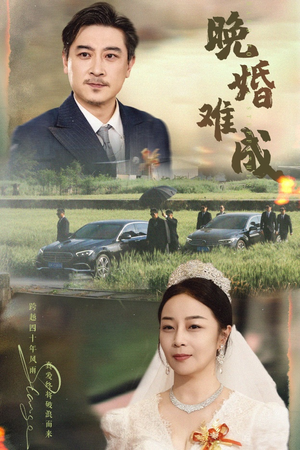 晚婚难成(60集) 晚婚难成(60集)高清画质免费看