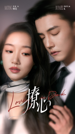 撩心（80集）观看软件