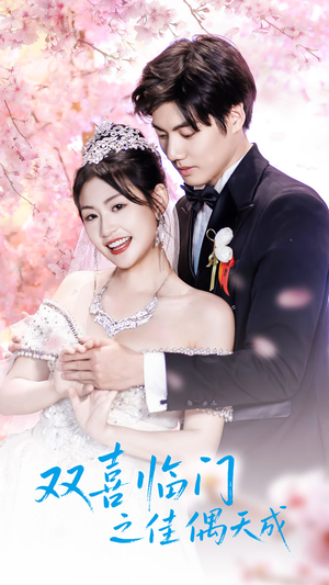 双喜临门之佳偶天成（42集）免费观看全集