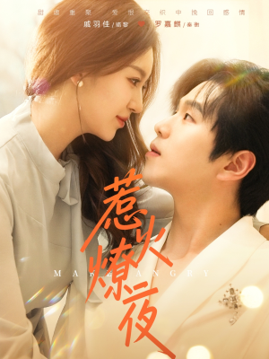 惹火燎夜（74集）全网独播免费看