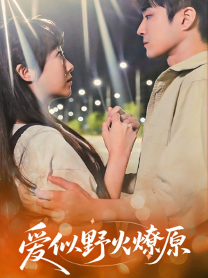 爱似野火燎原（47集）爆款短剧推荐