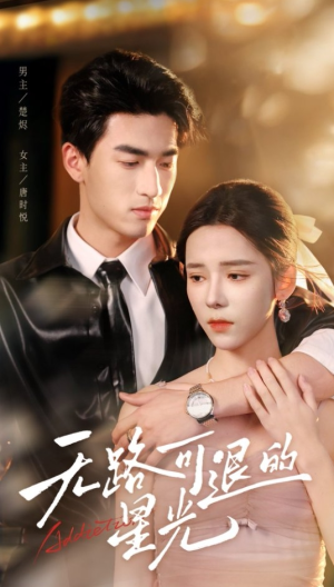 无路可退的星光（54集）演的怎么样