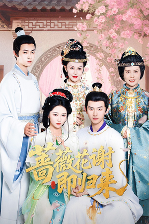 蔷薇花谢即归来（61集）短剧全集免费看