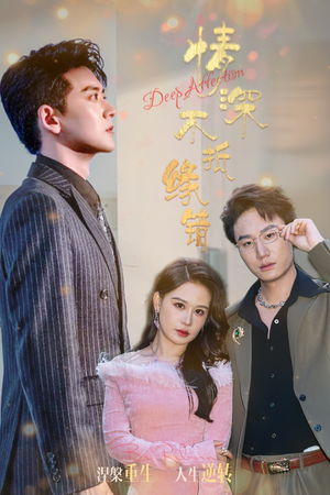 情深不抵缘错（60集）在哪看免费