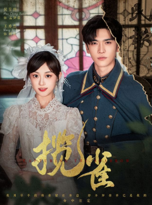 揽雀（61集）推荐热门短剧