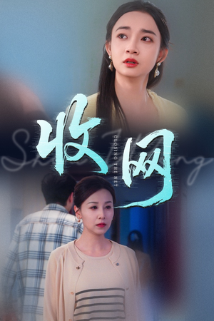 收网（60集）追风的女孩短剧