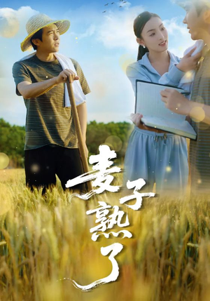 麦子熟了（52集）西瓜短剧免费看