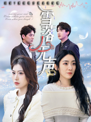 雪落无声（50集）最后的大结局