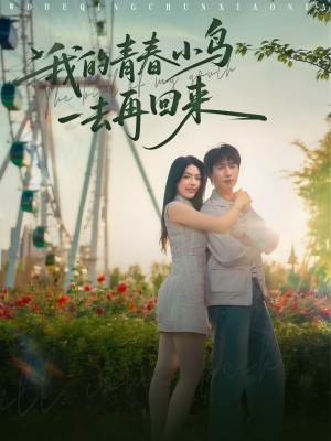 我的青春小鸟一去再回来（95集）古装短剧推荐