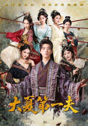 大夏第一夫（90集）免费短剧合集