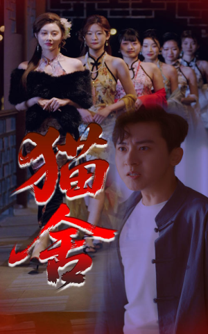 猫舍（34集）推荐热门短剧