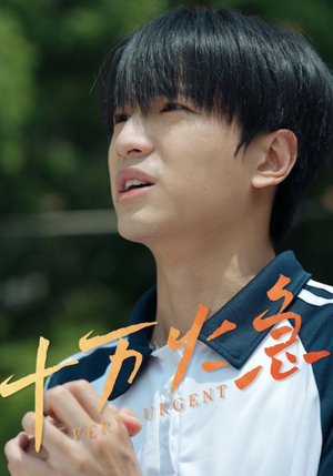 十万火急（30集）网络小短剧