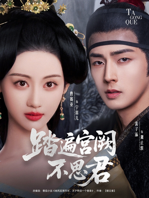 踏遍宫阙不思君（75集）在线播放