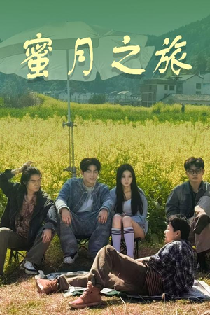 蜜月之旅（35集）每日短剧追不停
