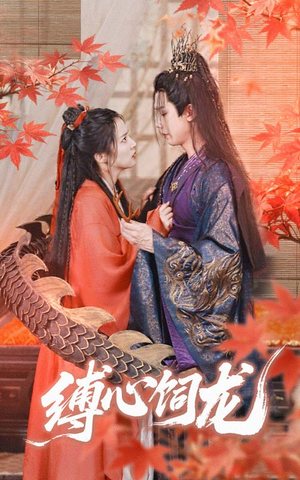 缚心饲龙（70集）最新热剧免费看