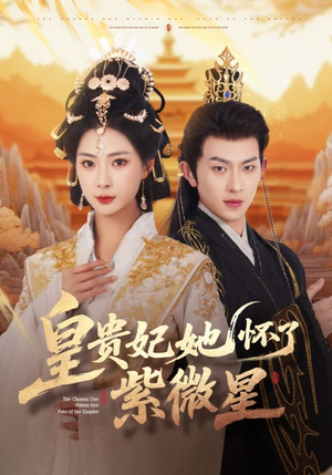 皇贵妃她怀了紫薇星（80集）每日短剧推荐