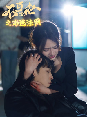 不可饶恕之难逃法网（20集）推荐热门短剧