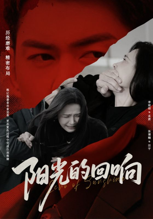 阳光的回响(50集) 阳光的回响(50集)大结局完美收官