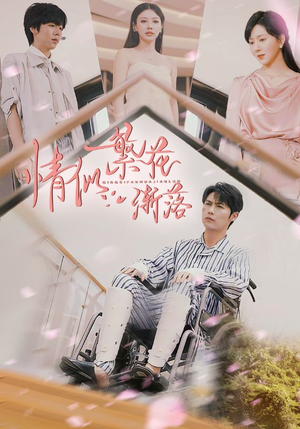 情似繁花渐落（62集）精彩短剧热播中