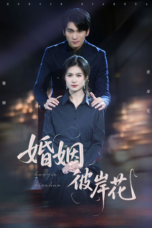 婚姻彼岸花（63集）全集免费