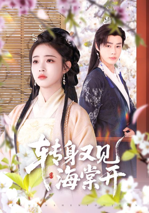 转身又见海棠开（79集）精彩短剧热播