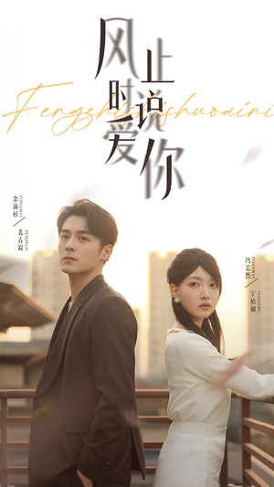 风止时说爱你（70集）在线免费观影