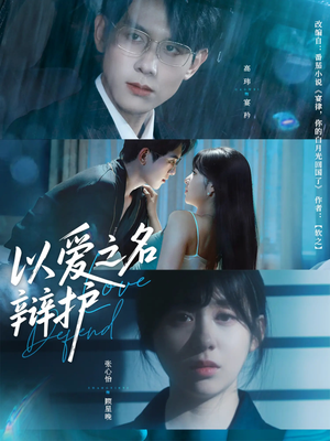 以爱之名辩护（81集）免费看