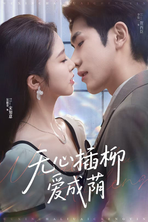 无心插柳爱成荫（80集）海量资源免费看