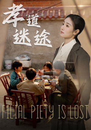 孝道迷途(50集) 孝道迷途(50集)评价怎么样