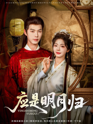 应是明月归（93集）高清画质免费看