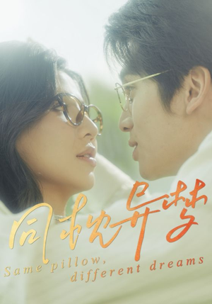 同枕异梦（50集）不用花钱看全剧