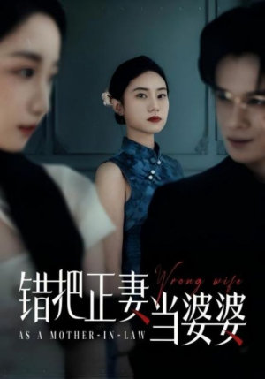 错把正妻当婆婆（46集）推荐好短剧