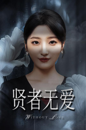 贤者无爱（42集）全集完整版