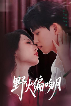 野火偏吻月（51集）短剧分享剧集