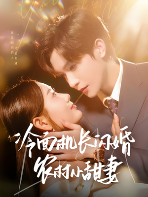 冷面机长闪婚农村小甜妻（73集）短剧看全集