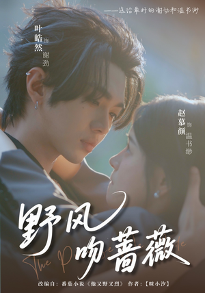 野风吻蔷薇（78集）好看的短剧分享