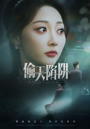 偷天陷阱（70集）看到了大结局