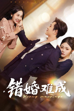 错婚难成（45集）正能量短剧分享