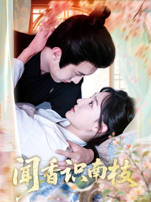 闻香识南枝(60集) 闻香识南枝(60集)高分佳作免费看