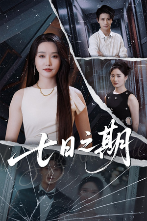 七日之期（90集）全集下载