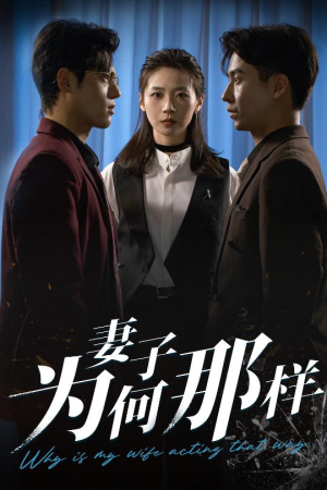 妻子为何那样(60集) 妻子为何那样(60集)去哪里看