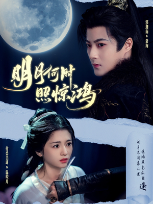 明月何时照惊鸿(80集) 明月何时照惊鸿(80集)精彩短剧来袭