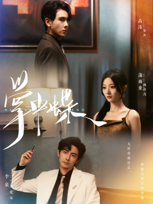 掌中蝶（84集）超好看的短剧