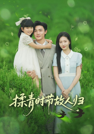 揉青时节故人归（60集）好看的短剧推荐