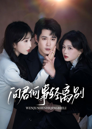 问君何事轻离别（30集）在线免费观影