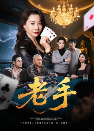 老手(36集) 老手(36集)免费短剧看全集