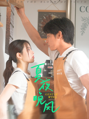 夏夜晚风（12集）热播短剧重燃